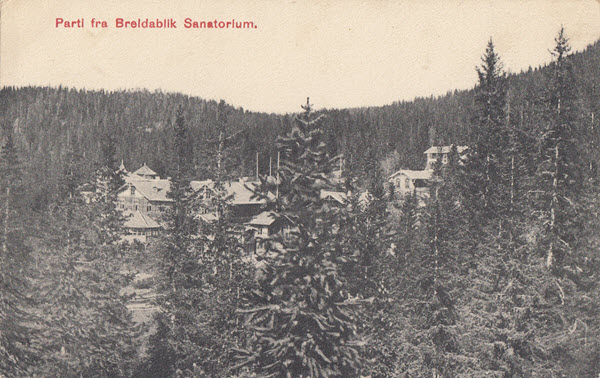 Parti fra Breldablik Sanatorium.