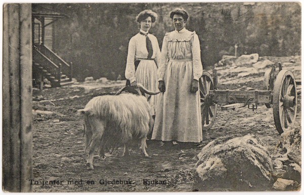 To jenter med en Gjedebuk. Rjukan.