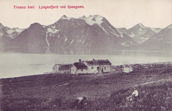 Tromsø Amt. Lyngenfjord ved Spaagnæs.