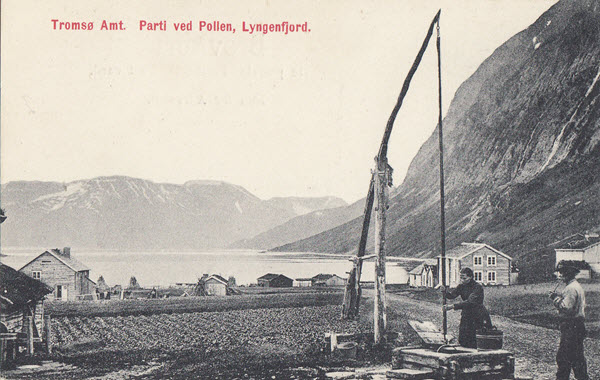 Tromsø Amt. Parti ved Pollen, Lyngenfjord.