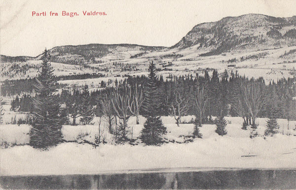 Parti fra Bagn. Valdres.
