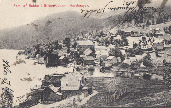 Parti af Bakke i Strandebarm, Hardanger.